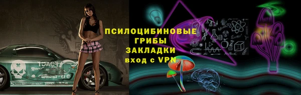 соль ск Балахна