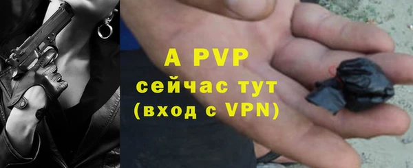 гидра Баксан