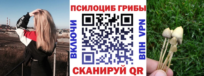 Псилоцибиновые грибы Psilocybine cubensis  Бирюсинск 